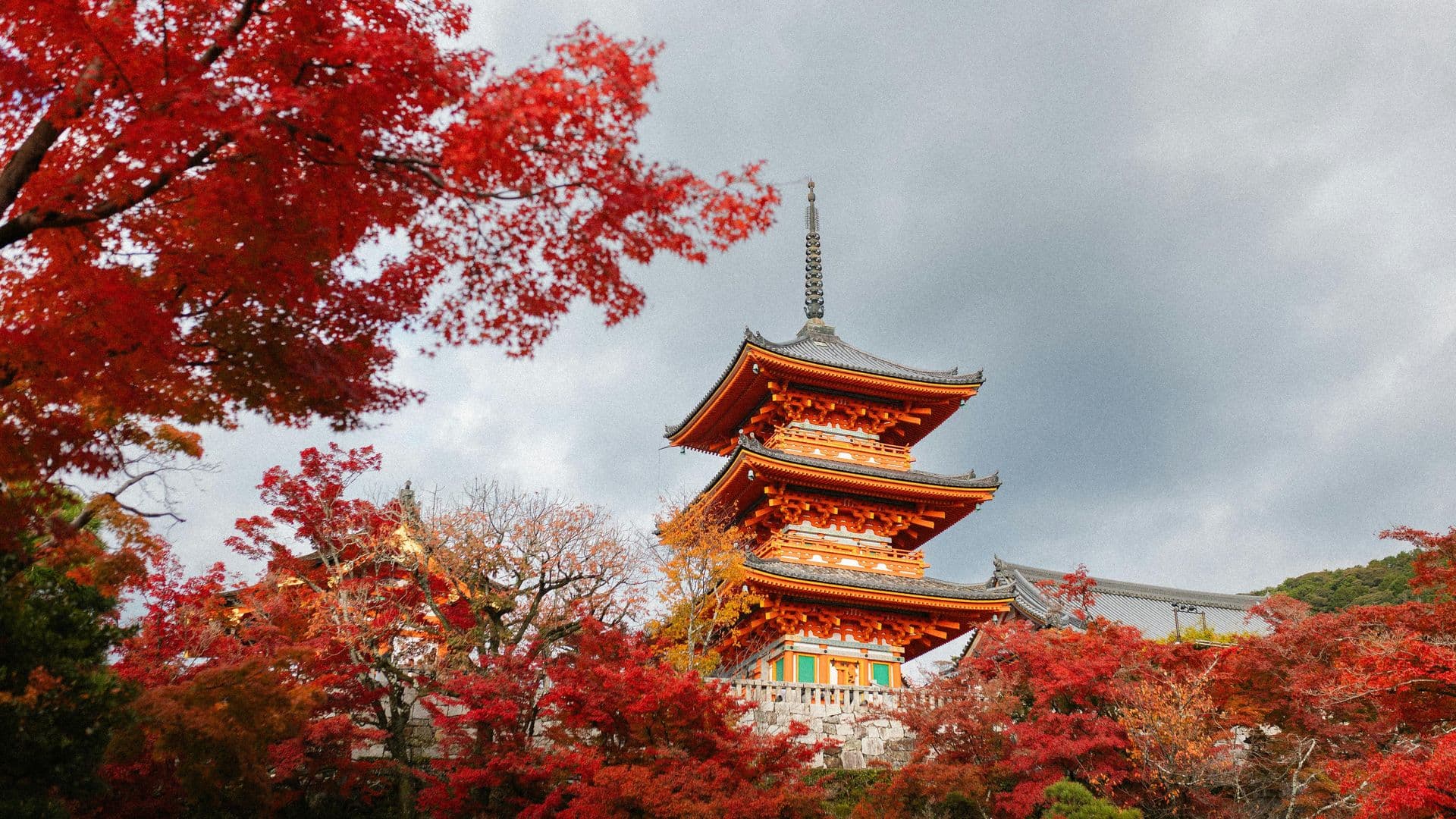 Kiyomizu-dera pagoda among autumn maples